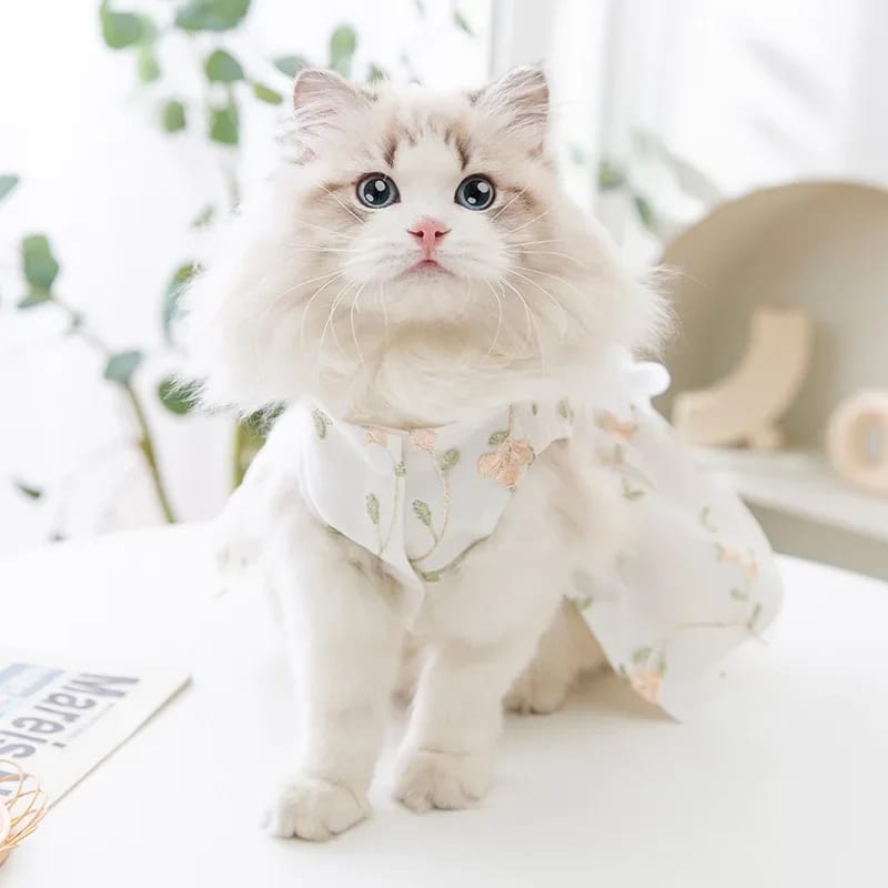 White Floral Princess Design Frock Dress for Pet Cat & Puppy with Buttons ( No Exchange)