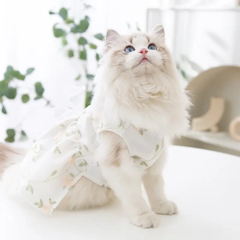 White Floral Princess Design Frock Dress for Pet Cat & Puppy with Buttons ( No Exchange)