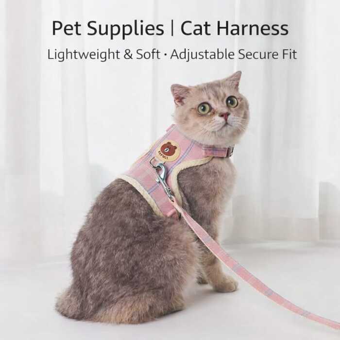 Teddy Bear Cartoon Design Vest Harness / Body Belt with Leash for Pet Cat & Puppy
