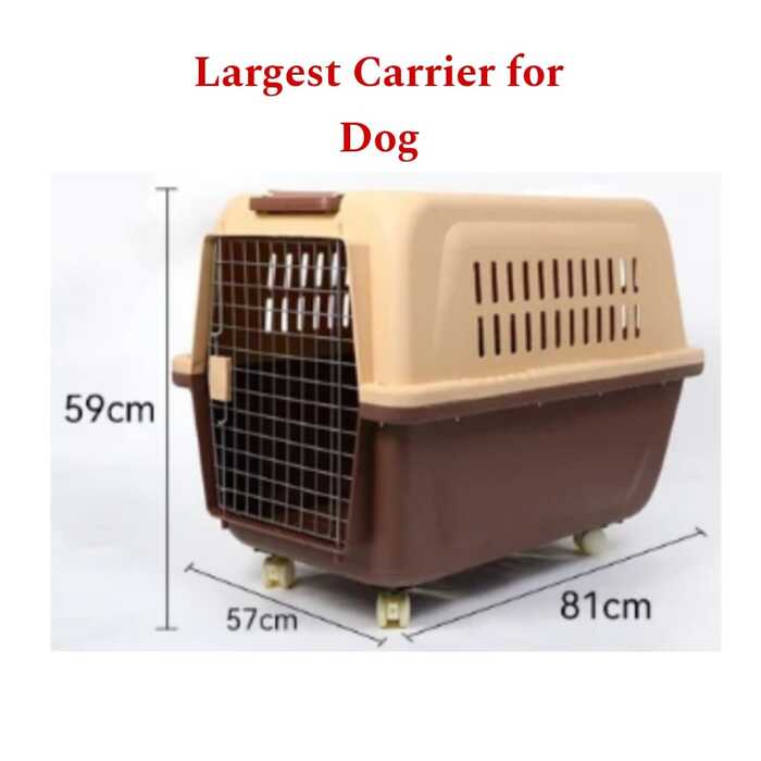 Trolley type Largest Sized Carrier Box for Dog & Animal