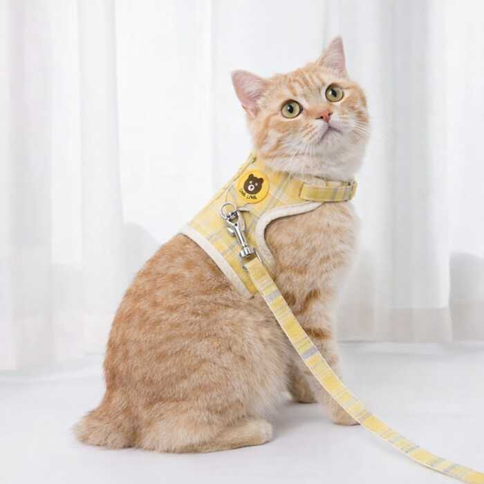Teddy Bear Cartoon Design Vest Harness / Body Belt with Leash for Pet Cat & Puppy
