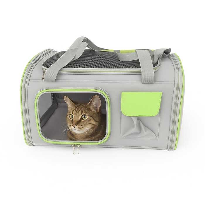 Portable Pet Premium Quality Carrier Bag Backpack for Pet Cat & Puppy with Handle