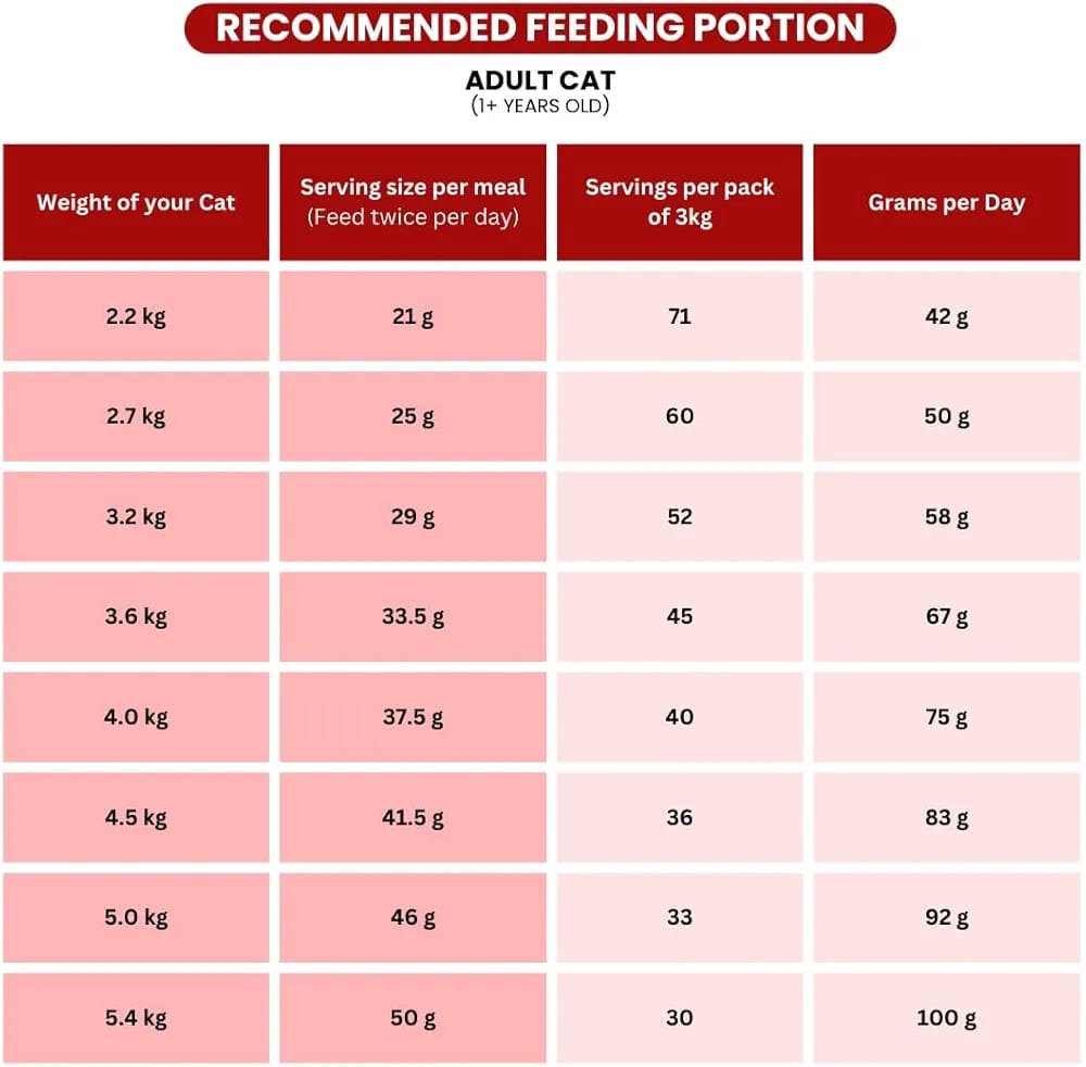 Billi Cat Food for Adult In Real Tuna