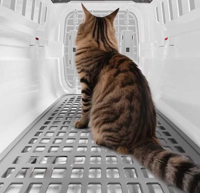 Premium Double Lock Easy to Carry Travel Freely Cat Carrier Box for Pet Cat & Puppy