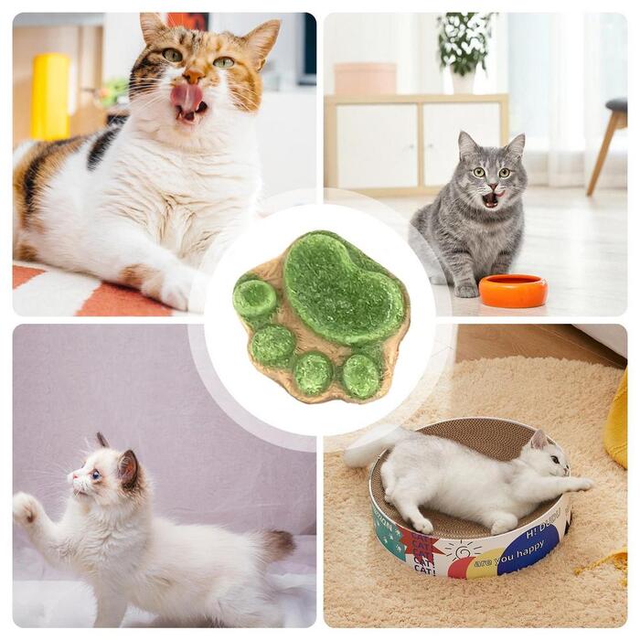 1pcs Cat Paw Cakes / Cat Snacks Freeze-Dried  Kittens & Adult Cats Raw Bone Meat Chicken Fruits and Vegetables Individually Packed 4.5g