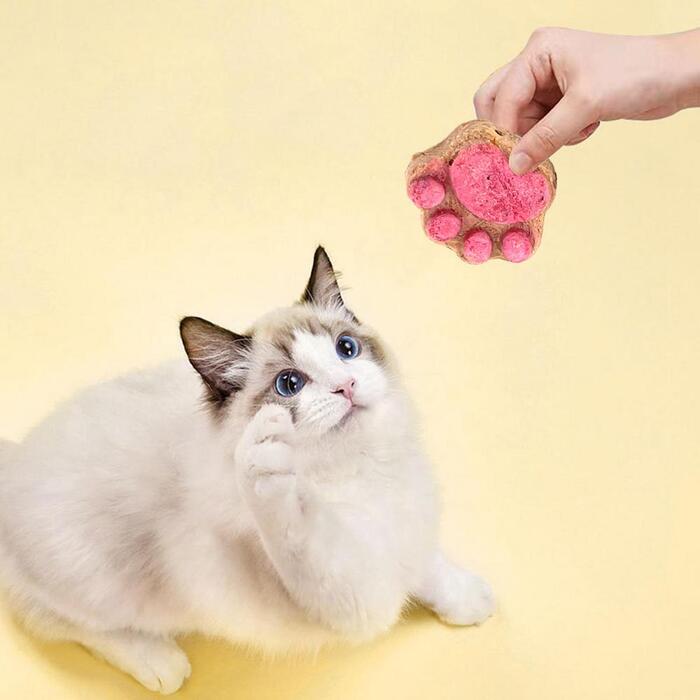 1pcs Cat Paw Cakes / Cat Snacks Freeze-Dried  Kittens & Adult Cats Raw Bone Meat Chicken Fruits and Vegetables Individually Packed 4.5g