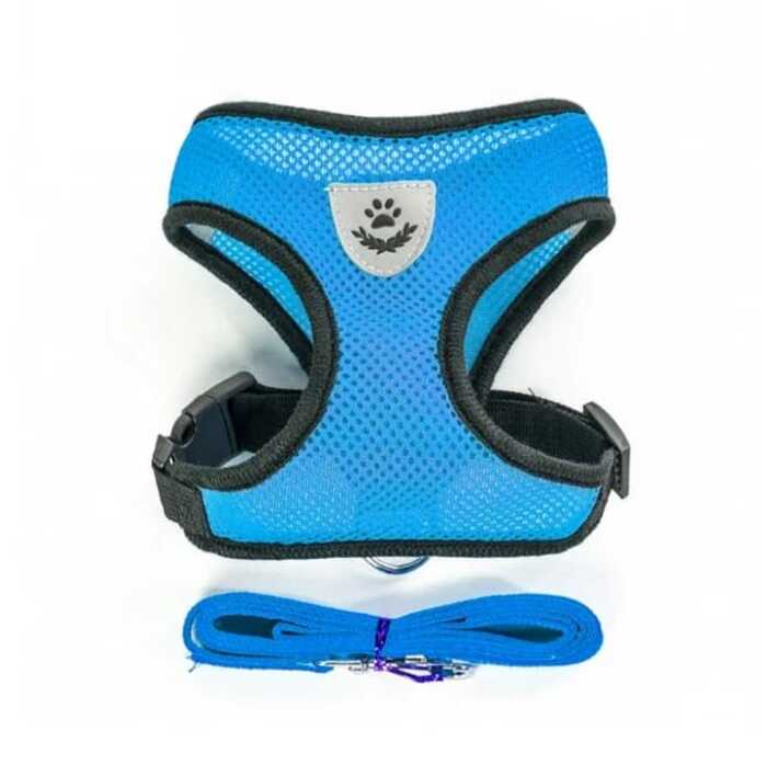 Cat Jacket Harness Harness And Leash Set Puppy Cat Vest Harness