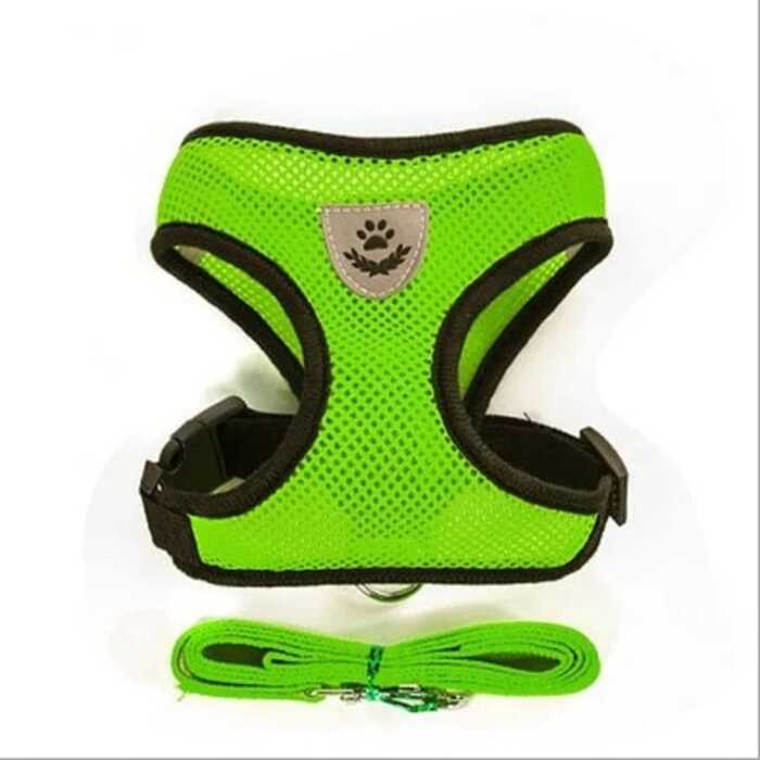 Cat Jacket Harness Harness And Leash Set Puppy Cat Vest Harness