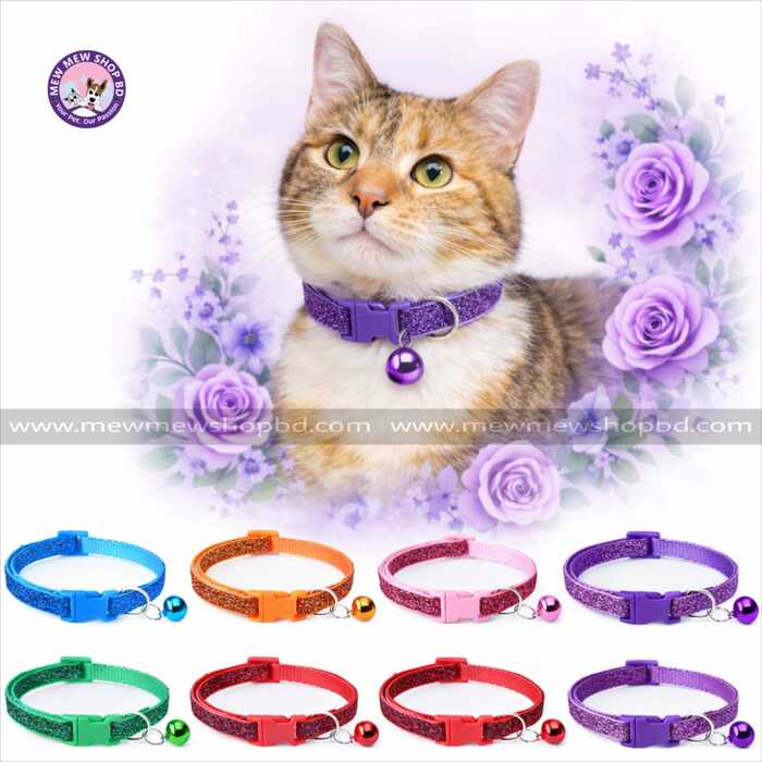 Glitter Collar For Cat