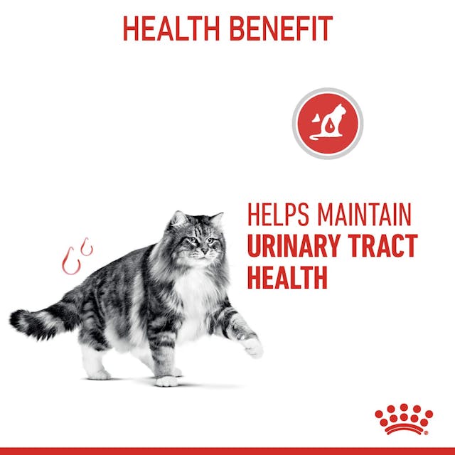 Royal Canin Hairball Care Thin Slices in Jelly 85g