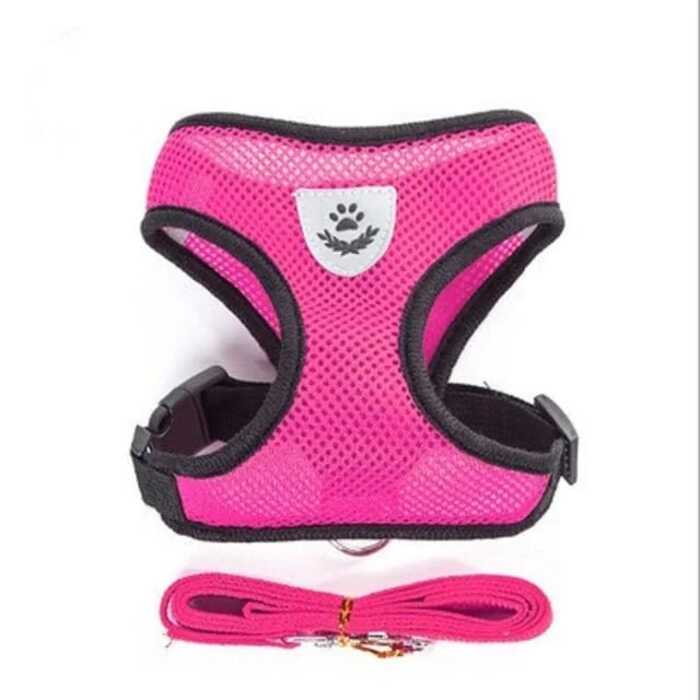 Cat Jacket Harness Harness And Leash Set Puppy Cat Vest Harness