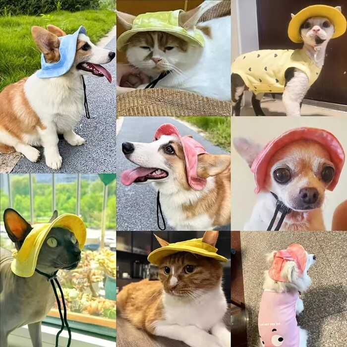 Pet hat with Ear Holes Sunscreen Baseball Cap Suitable for Small and Medium-Sized Dogs & Cats Outdoor hat