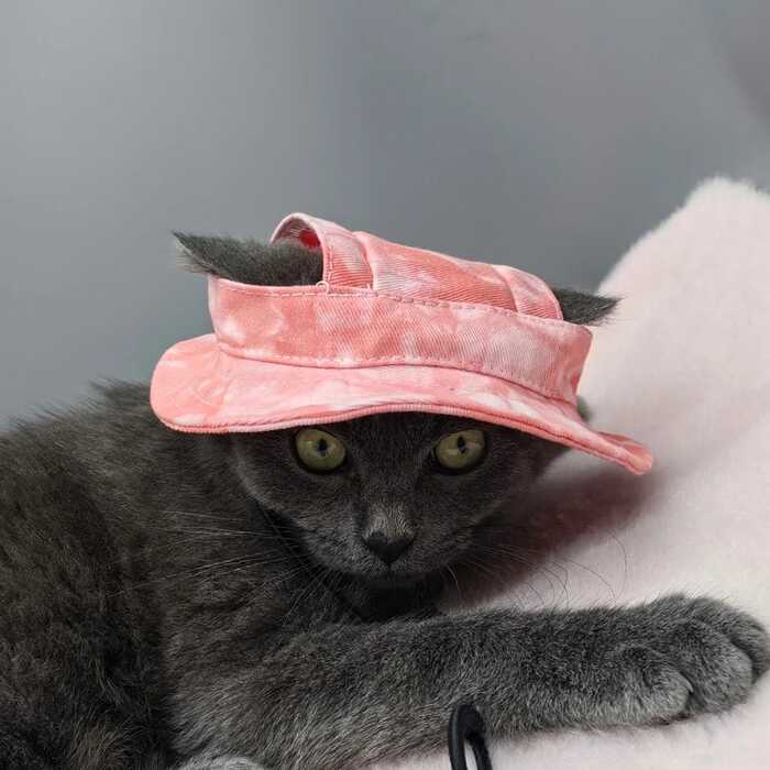 Pet hat with Ear Holes Sunscreen Baseball Cap Suitable for Small and Medium-Sized Dogs & Cats Outdoor hat