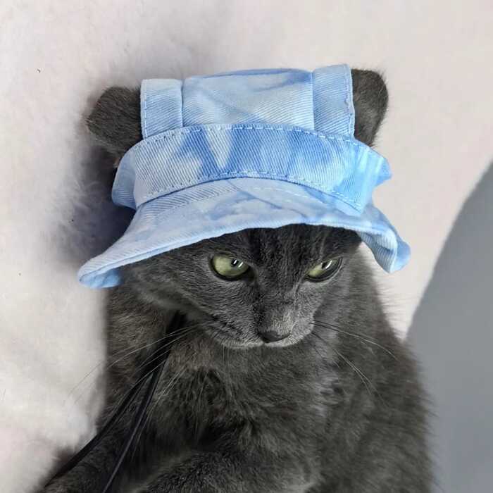 Pet hat with Ear Holes Sunscreen Baseball Cap Suitable for Small and Medium-Sized Dogs & Cats Outdoor hat