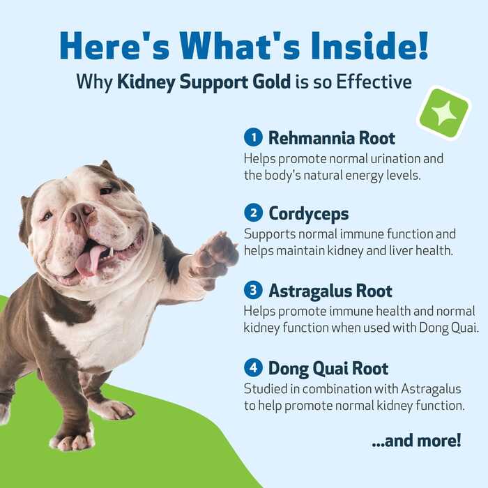 Pet Wellbeing Kidney Support Gold for Dogs & Cats  (59ml)