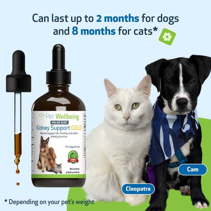 Pet Wellbeing Kidney Support Gold for Dogs & Cats  (59ml)