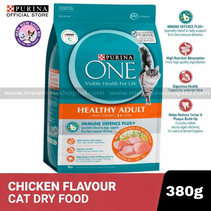 Purina ONE Healthy Adult Dry Cat Food with Chicken 380g