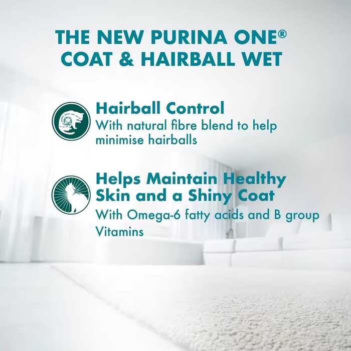 Purina ONE Hairball Control Wet Cat Food with Chicken in Gravy 70g