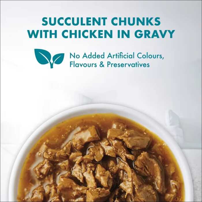 Purina ONE Hairball Control Wet Cat Food with Chicken in Gravy 70g