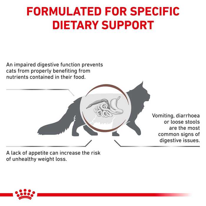 Royal Canin Veterinary Diet Gastrointestinal Dry Cat Food 2kg