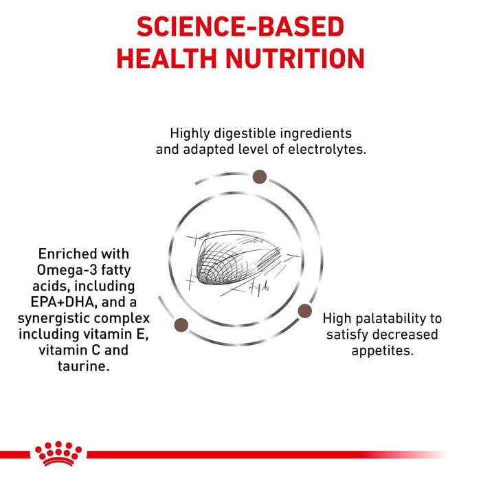 Royal Canin Veterinary Diet Gastrointestinal Dry Cat Food 2kg