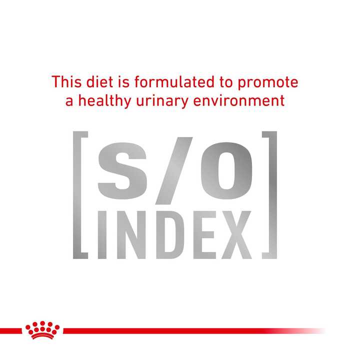 Royal Canin Veterinary Diet Gastrointestinal Dry Cat Food 2kg