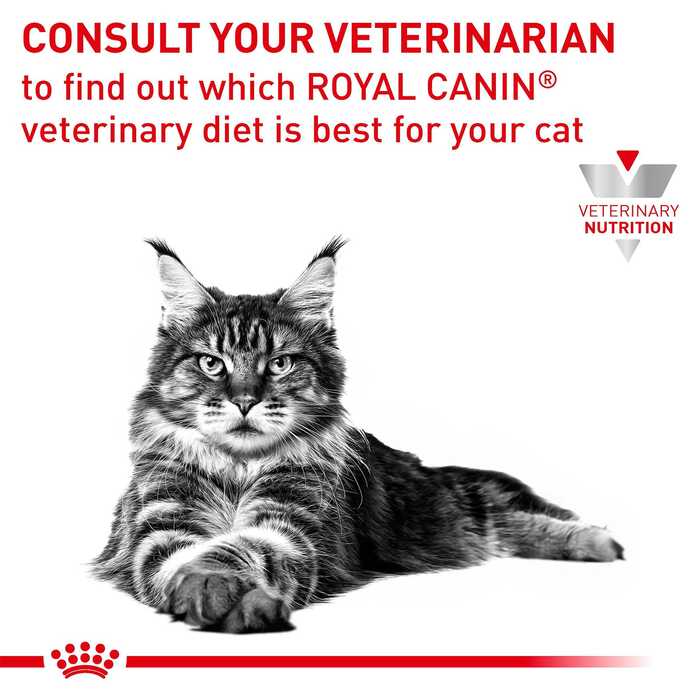 Royal Canin Veterinary Diet Gastrointestinal Dry Cat Food 2kg