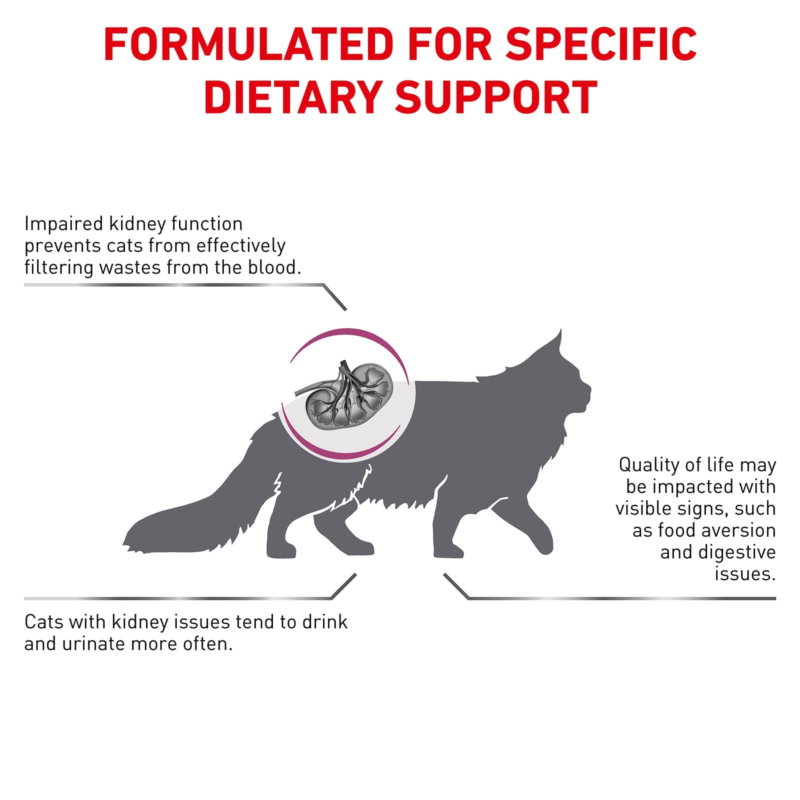 Royal Canin Veterinary Diet Renal Dry Cat Food 2kg