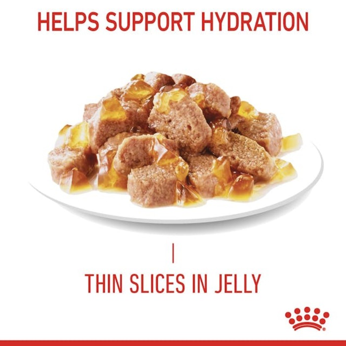 Royal Canin Urinary Care Thin Slices in Jelly 85g