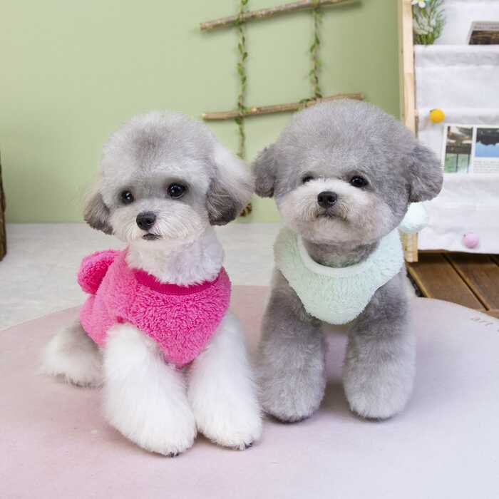 Snuggle Buddies Winter Warm Sweater Dress for Cats & Puppy