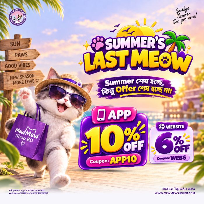 Summer offer