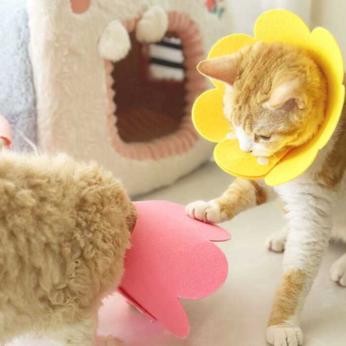 Sunflower Shape Colorful Adjustable Ecollar / Sergical Collar for Pet Cat & Puppy
