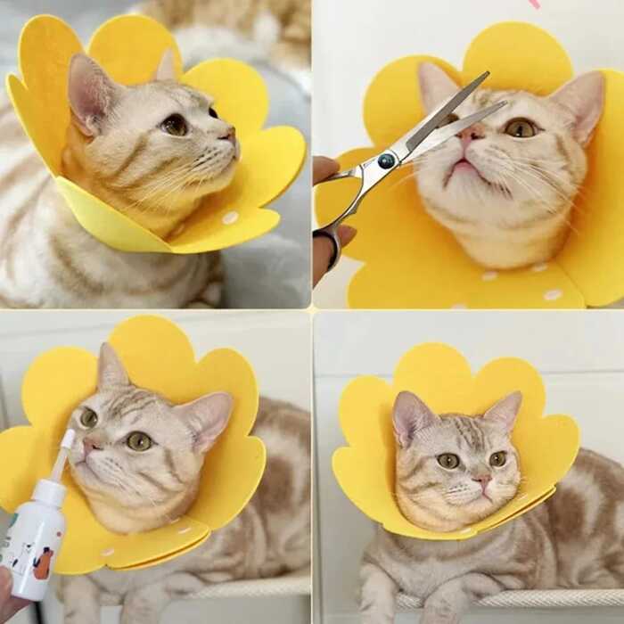 Sunflower Shape Colorful Adjustable Ecollar / Sergical Collar for Pet Cat & Puppy