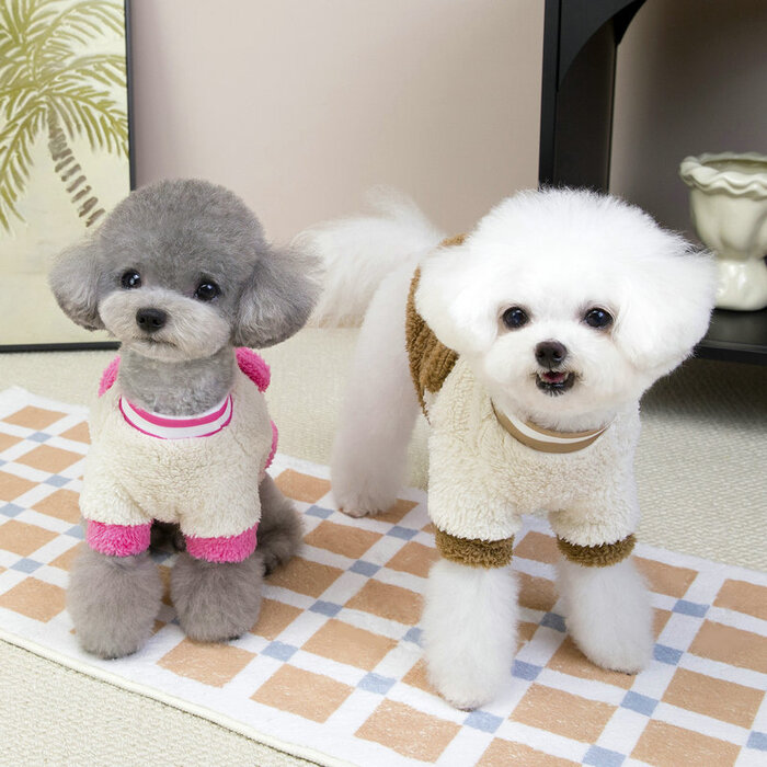 Teddy Bear Design Warm Sweater Dress for Cats & Puppy
