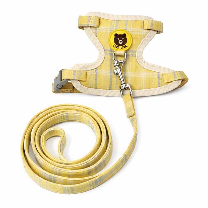 Teddy Bear Cartoon Design Vest Harness / Body Belt with Leash for Pet Cat & Puppy