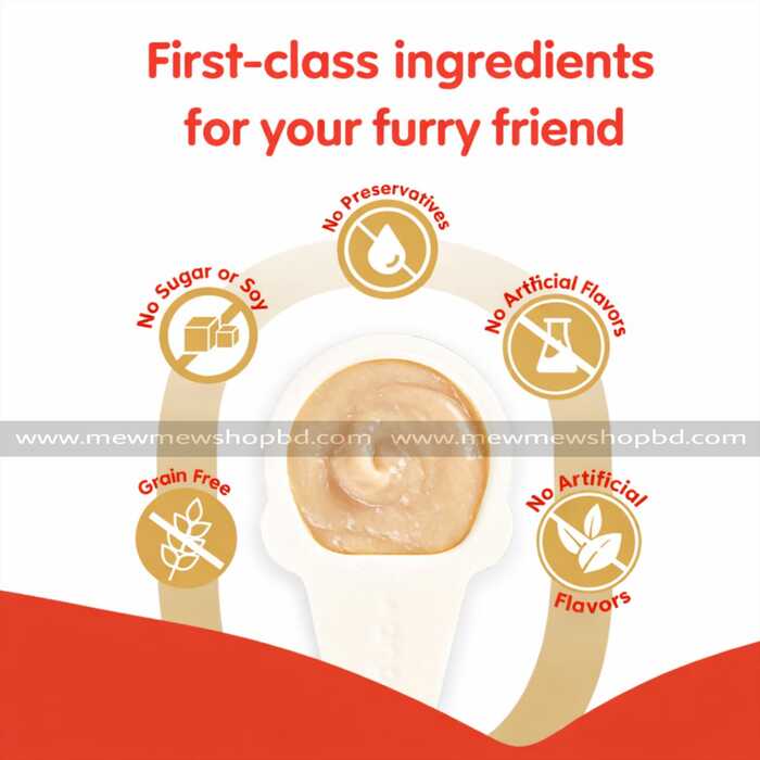 Wanpy Lickable Creamy Spoon Cat Treat Salmon 16gm 1pcs