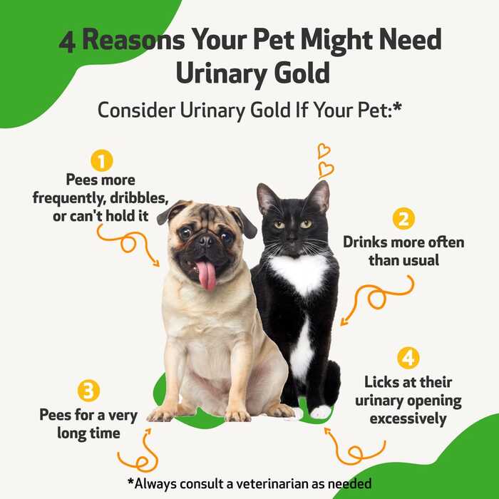 Pet Wellbeing Urinary Gold for Dogs and Cats  59 ml