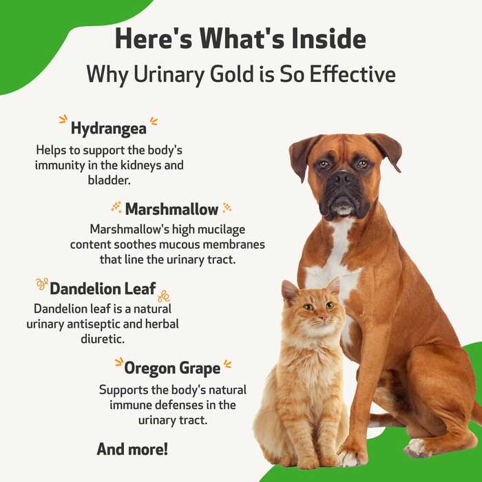 Pet Wellbeing Urinary Gold for Dogs and Cats 118ml