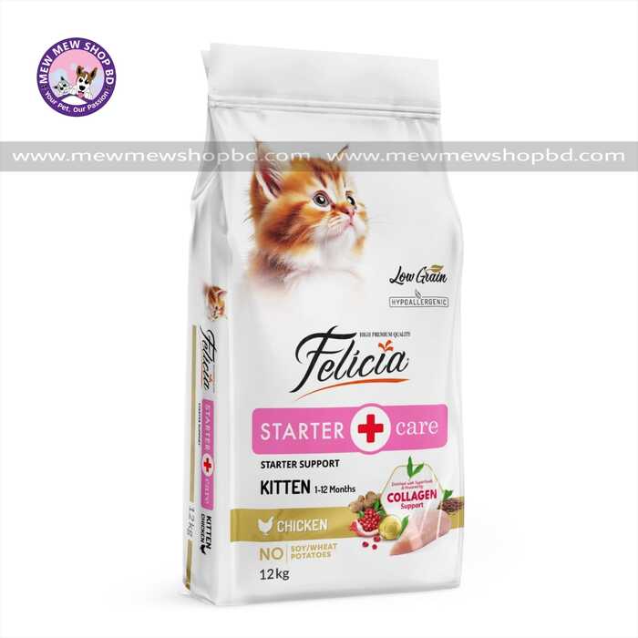 Felicia Starter Care Kitten Chicken