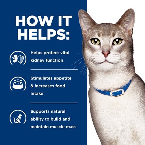 Hill’s Prescription Diet k/d Kidney Care Hills Dry Cat Food 4lbs /1.81kg
