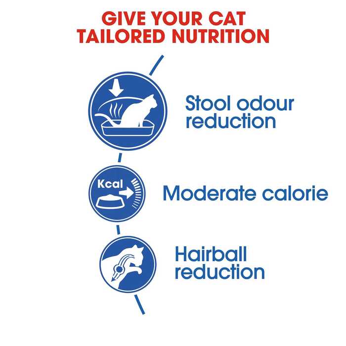 Royal Canin Home Life INDOOR 27 Dry Cat Food For Adult 2Kg