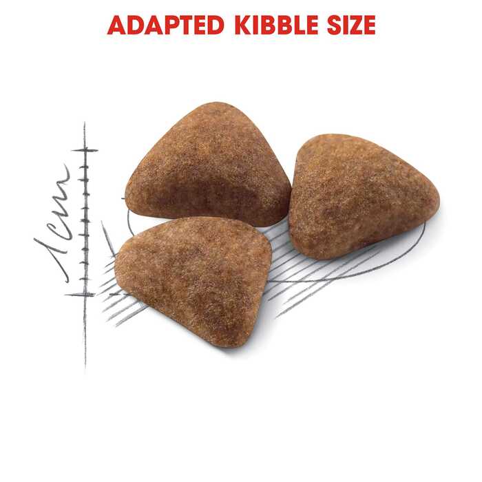Royal Canin Premium Nutrition for Indoor Cats 4kg