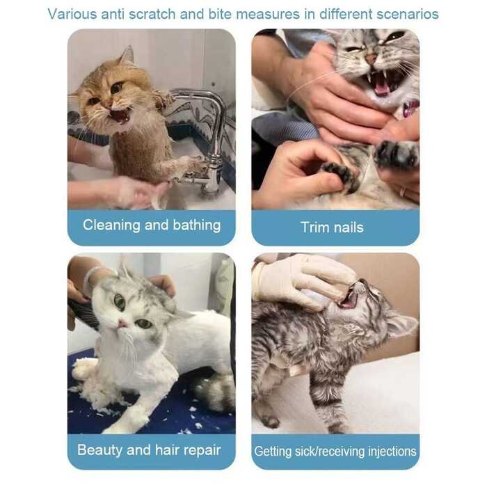 Cat Anti-Bite Headcover Breathable Helmet Protective Cats Prevent Biting Transparent Head Shield for Grooming