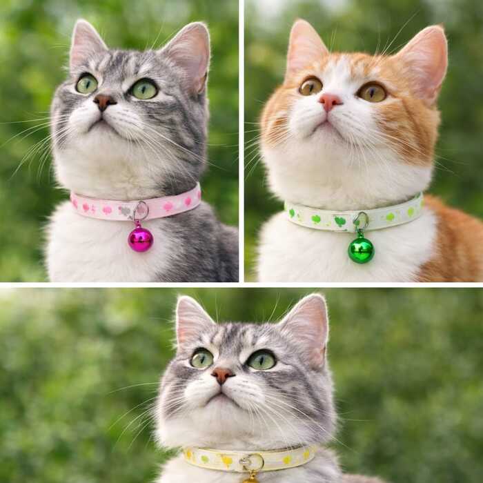 Adjustable Foot Print Radium Cat Collar