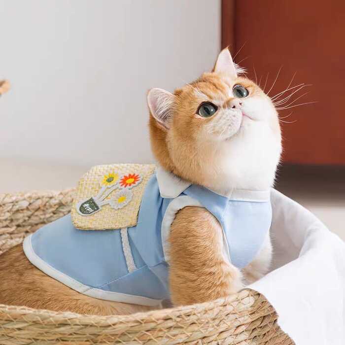 Pet Cat & Puppy Cute Flower Design Summer T-shirt Dress with Small Pouch Bag  ( No Exchange)
