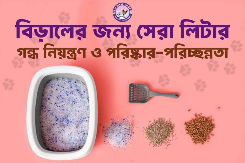 বিড়ালের জন্য সেরা লিটার: গন্ধ নিয়ন্ত্রণ এবং পরিষ্কার-পরিচ্ছন্নতা