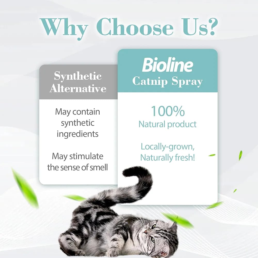 Bioline Catnip Spray for Cats 15ml