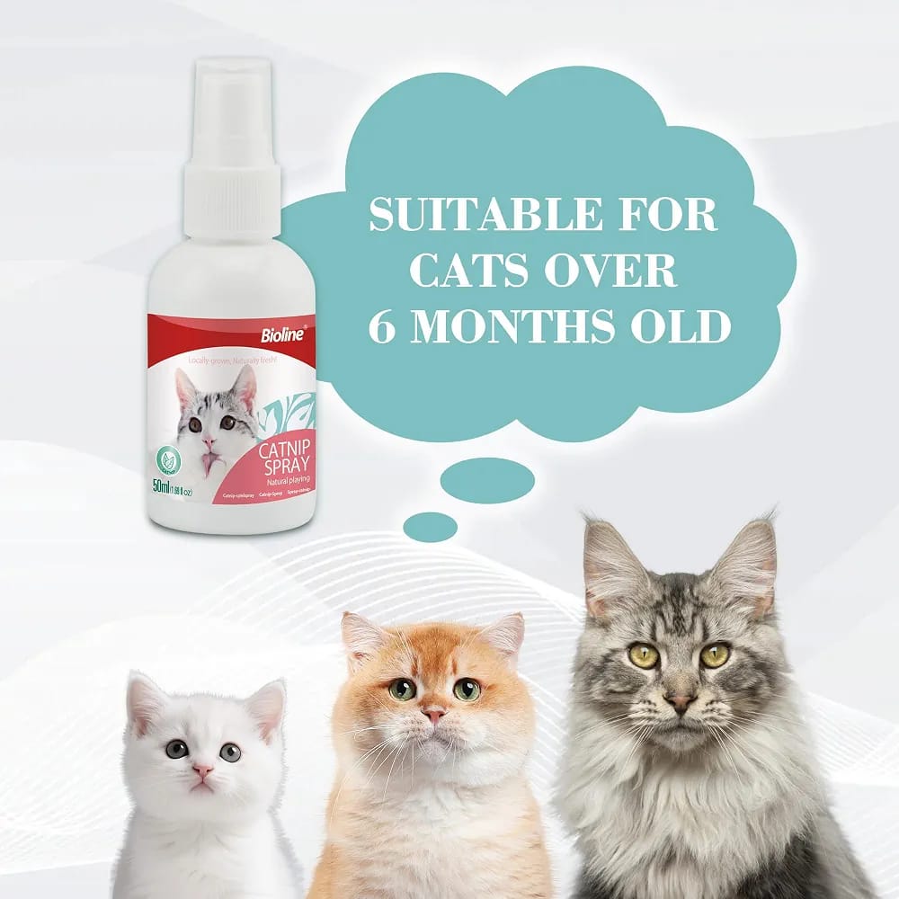 Bioline Catnip Spray for Cats 50ml
