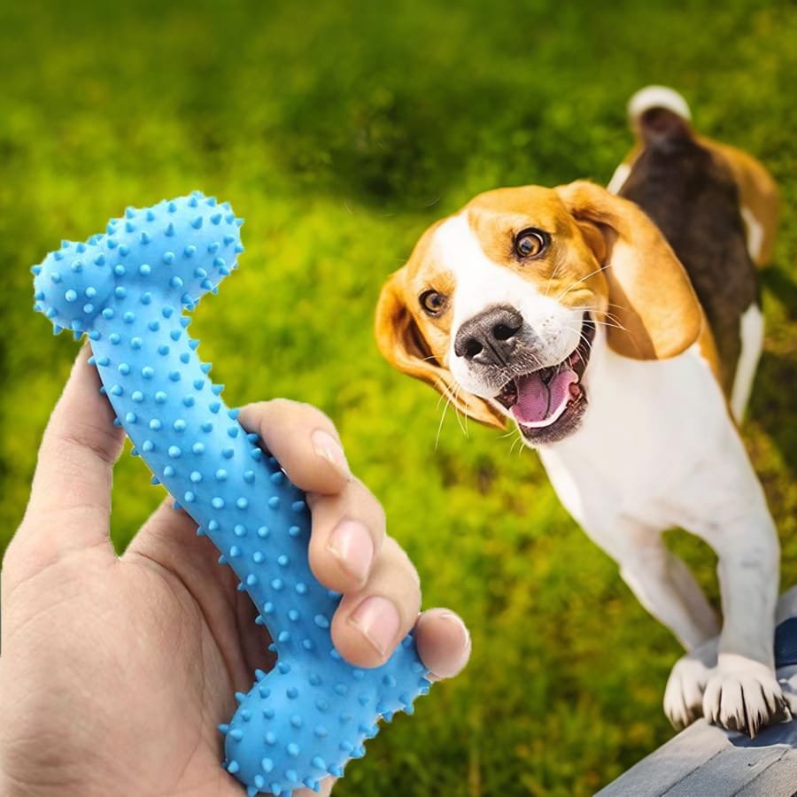 Cat & Dog Chew Rubber Bone for Teething & Training (Random Color)
