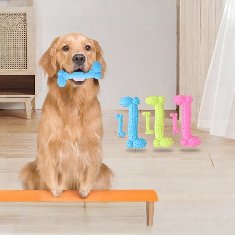 Cat & Dog Chew Rubber Bone for Teething & Training (Random Color)